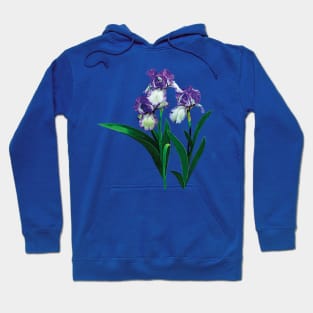 Irises - Three Purple and White Irises Hoodie